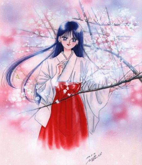 Rei amongst sakura (cherry blossom) trees...